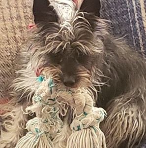 Meet your Posher, Deb